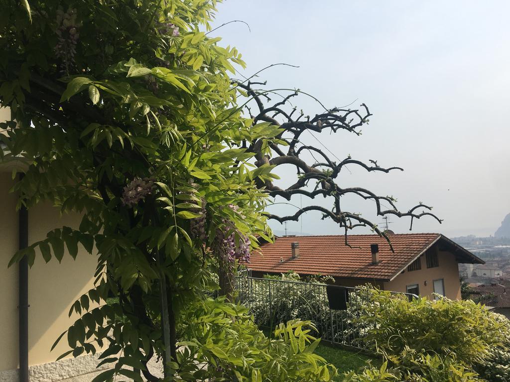 Apartment Weiss Home Riva Zewnętrze zdjęcie