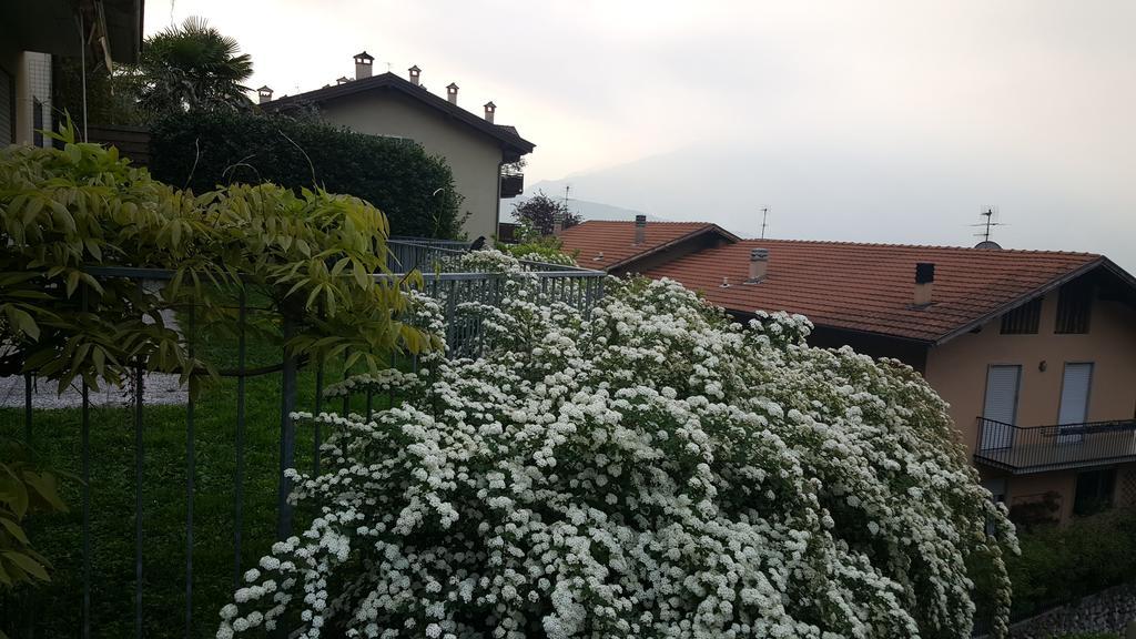 Apartment Weiss Home Riva Zewnętrze zdjęcie